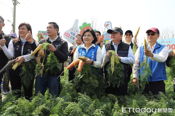 ▲活力東勢VDS今日舉辦第二屆國際胡蘿蔔日，超過1.2萬來自全國民眾共襄盛舉，體驗拔蘿蔔、品嚐胡蘿蔔等各項美食，享受農村歡樂時光。（圖／記者蔡佩旻翻攝）