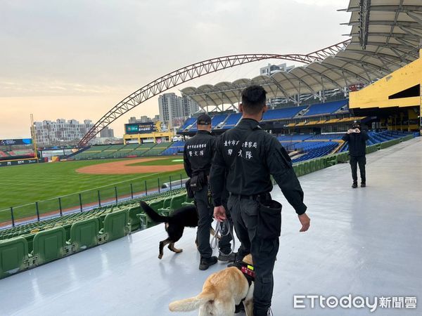 ▲▼世界棒球經典賽熱身賽今天開打，警犬隊鉅細靡遺的安檢，連大聯盟也稱讚。（圖／台中警方提供，下同）