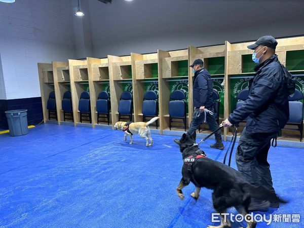 ▲▼世界棒球經典賽熱身賽今天開打，警犬隊鉅細靡遺的安檢，連大聯盟也稱讚。（圖／台中警方提供，下同）