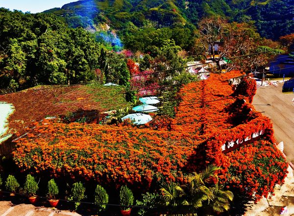 ▲▼桃園羅浮花園咖啡推薦。（圖／部落客滿分提供）