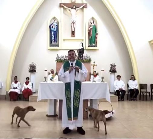 ▲▼神父在宣講，狗狗在一旁做羞羞的事。（圖／翻攝自Instagram／@padrepierremauriciooficial）