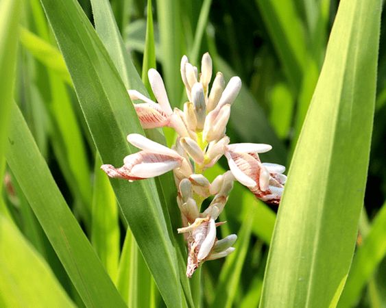 ▲▼植萃成分強勢告別「屑屑濃」！網讚：洗髮必備。（圖／業者提供）