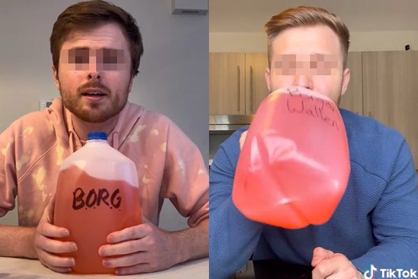▲▼BORG是如今非常流行於TikTok的灌酒挑戰。（圖／翻攝自TikTok）