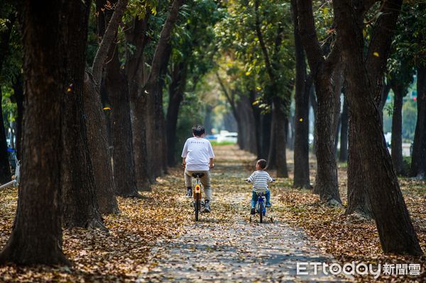 ▲▼  嘉市府迎花季 公開獨「嘉」自行車道秘境璀燦黃花風鈴木、繽紛九重葛盛放迎賓   。（圖／嘉義市政府提供）