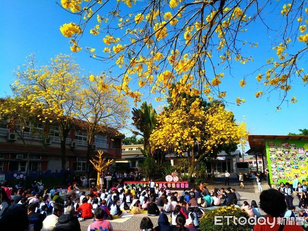 ▲▼   中埔國小黃金風鈴早餐音樂會  。（圖／中埔國小提供）