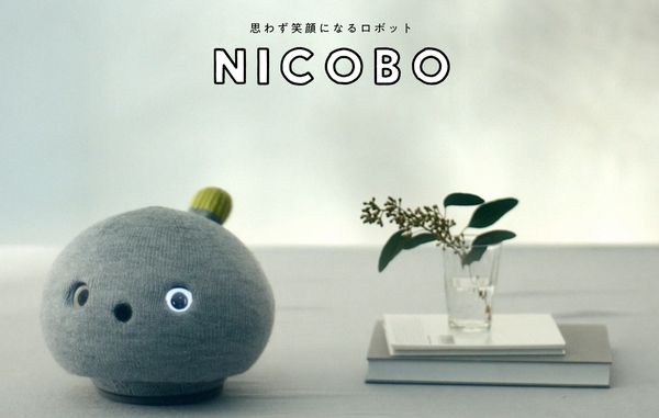 ▲▼Nicobo。（圖／取自Nicobo官網）
