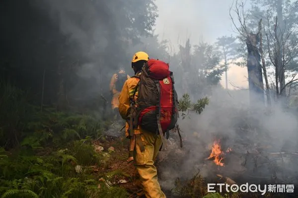 ▲正值森林火災好發時期，林務局將提供細胞簡訊示警。（圖／林務局提供）