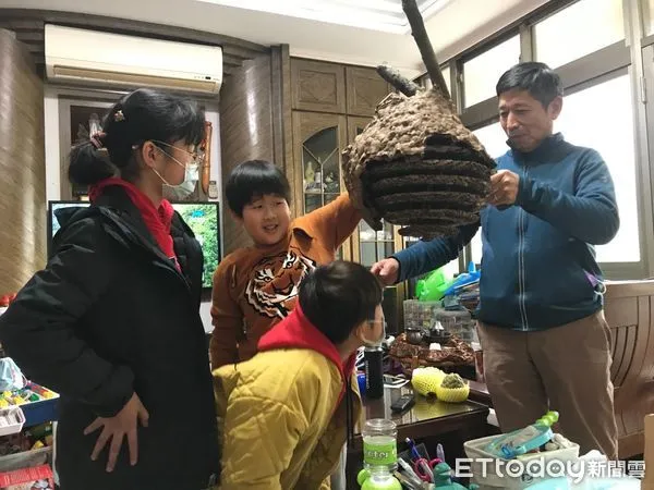 ▲石門國小家長帶領學生認識蜂窩。（圖／新北市教育局提供）