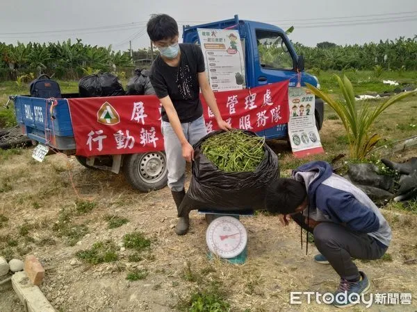 ▲屏東林管處為民服務收購移除小花蔓澤蘭           。（圖／記者陳崑福翻攝，下同）