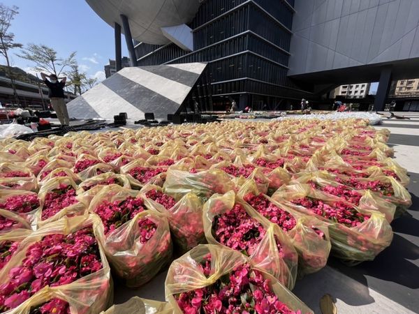 ▲花藝工作團隊已於本周進駐台北表演藝術中心廣場，進行花卉布置相關工作，預計花毯將佔地達300多平方公尺。（圖／觀傳局提供）