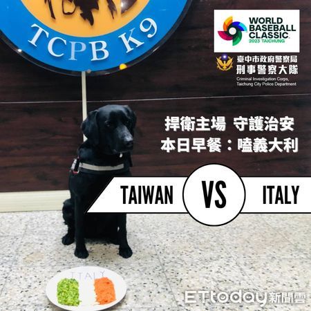 ▲▼WBC世界經典賽10日中華隊對戰義大利隊，台中警犬也狂吃「義大利披薩」為中華隊加油。（圖／鄧木卿翻攝）