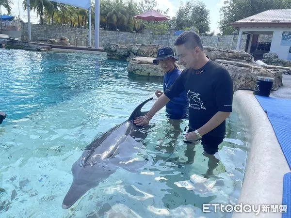 ▲新加坡聖淘沙名勝世界海豚園。（圖／記者周姈姈攝）