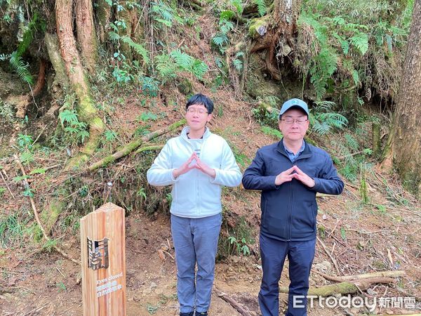 ▲▼ 水山療癒步道啟用 。（圖／嘉義林管處提供）