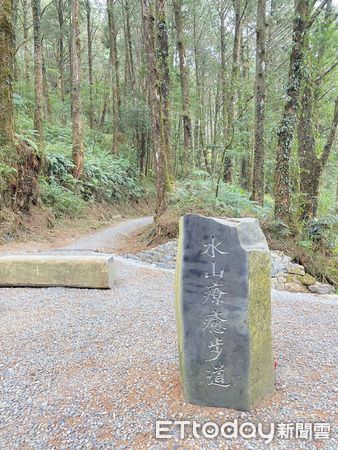 ▲▼ 水山療癒步道啟用 。（圖／嘉義林管處提供）