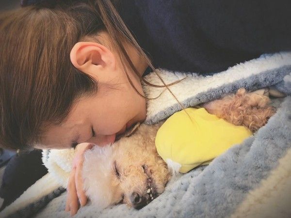 ▲▼Selina愛犬Pinky於2019年3月13日離世。（圖／翻攝自臉書）