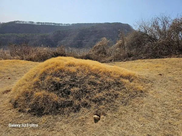 ▲▼南韓共同民主黨黨代表李在明父母的墳墓遭不明人士挖洞破壞。（圖／翻攝自李在明臉書）