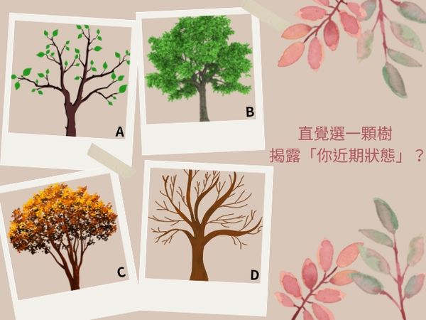 ▲憑直覺選一顆樹，揭露「你近期的狀態」。（示意圖／視覺中國CFP）