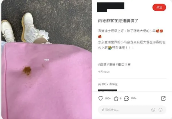 ▲▼陸女在香港迪士尼崩潰　發文開罵：怎會「定點投送」鳥大便？。（圖／翻攝小紅書）