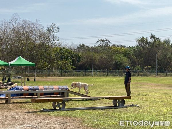 ▲▼新北搜救隊14日至16日南下參加IRO(International Rescue Dog Organisation)國際搜救犬組織評量檢測，共有3隻搜救犬通過高級及1隻搜救犬通過中級認證             。（圖／記者戴上容攝）