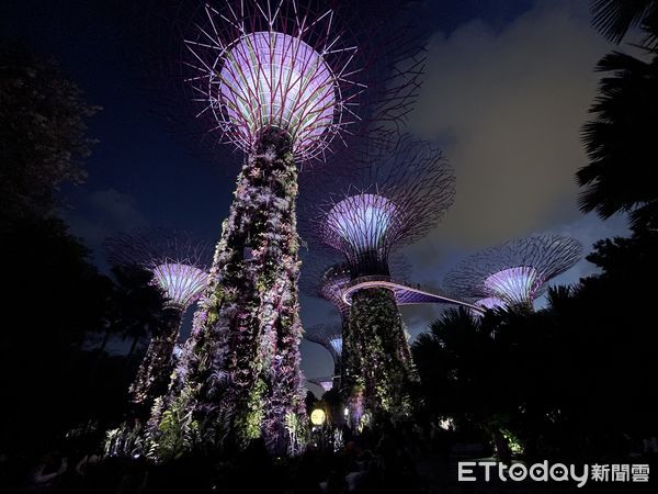 ▲▼新加坡濱海灣花園－超級樹、雲霧森林、花穹。（圖／記者周姈姈攝）