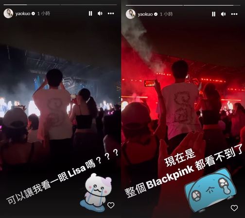 ▲郭書瑤18日前往BLACKPINK演唱會被前方白衣男子擋住。（圖／翻攝自Instagram／yaokuo）