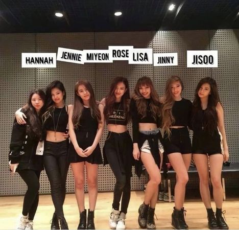 ▲YG娛樂原本打算推9人女團。（圖／翻攝自推特）