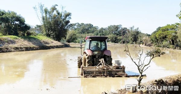▲北水局指出，桃竹地區一期稻作已陸續完成整田作業。（圖／記者沈繼昌翻攝）