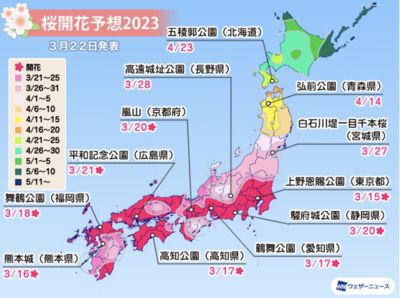 日本櫻花大提前！最新賞櫻預測出爐：3月底多處景點櫻吹雪