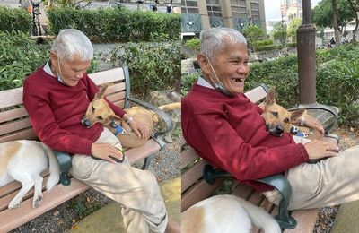 公園散步遇狗狗「躺懷裡撒嬌」　90歲阿公秒被融化笑開花