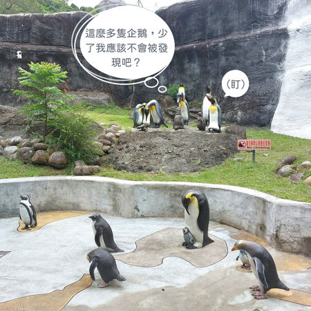 ▲▼台北市動物園表示「工讀生」都在。（圖／北市觀光傳播局提供）