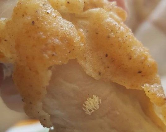 ▲▼紐西蘭一名女子在吃肯德基時，意外發現炸雞上有蒼蠅卵，讓她噁心得想吐。（圖／翻攝自Facebook）