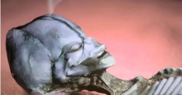 科學家解開智利「迷你外星人木乃伊」的真相。（圖／翻攝自推特）