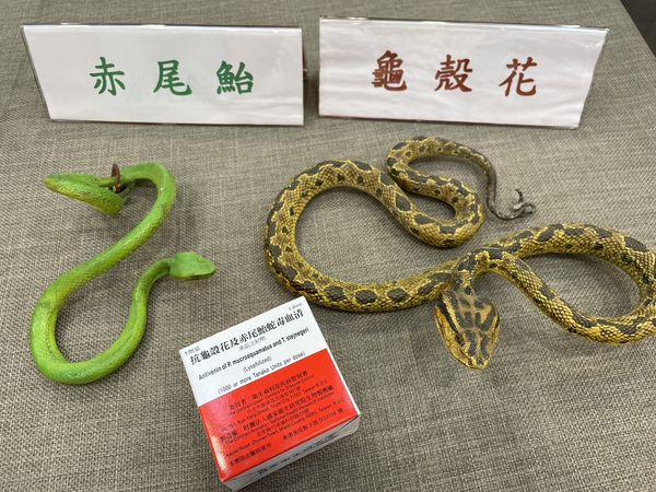 4月開始是「被蛇咬」旺季！台灣6大常見毒蛇2種咬傷人最多| ETtoday健康雲| ETtoday新聞雲