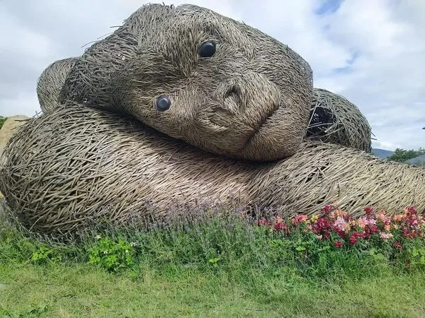 ▲▼      花蓮富里竹製站立大猩猩倒塌       。（圖／富里鄉農會總幹事張素華提供）