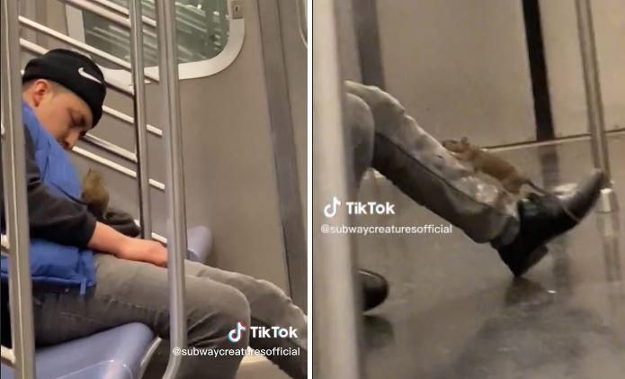 【有片】地鐵「巨鼠」爬上身亂竄　地鐵男反應令網崩潰：這不是我要的結果！