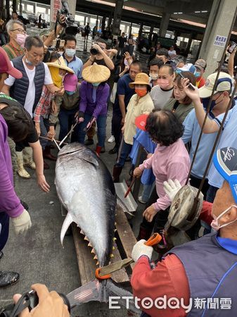 ▲琉球籍漁船「新發財1號」捕獲2023東港第一鮪，船長洪明全相當興奮             。（圖／記者陳崑福翻攝，下同）