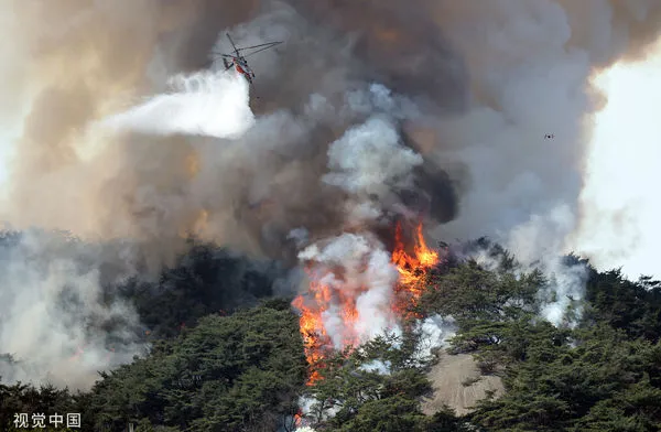 ▲▼南韓首爾仁王山4月2日發生山火，消防直升機正在滅火。（圖／CFP）