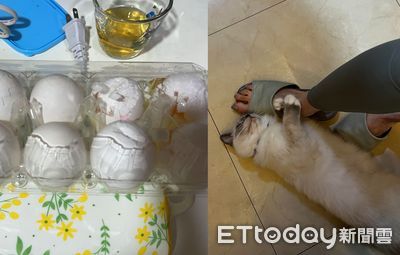 難得買到雞蛋...突砰一聲「兇手抱腿求饒」　媽低頭看地板傻眼了
