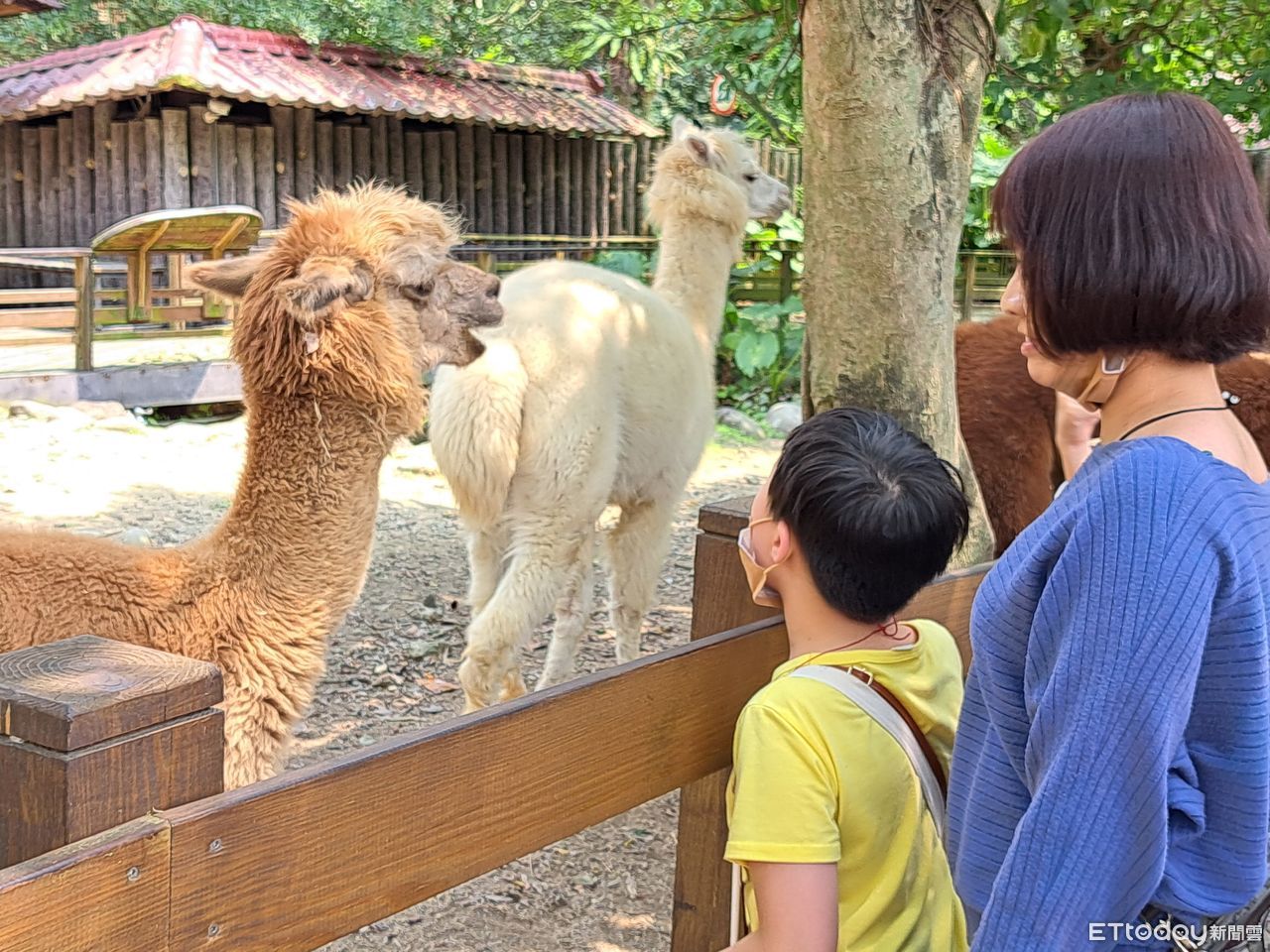 窮養養不出大方的小孩?網掀兩派論戰