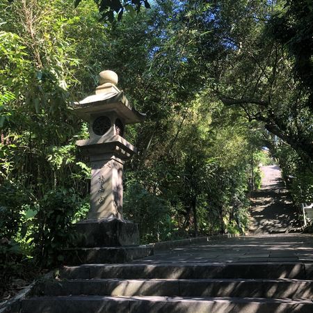 ▲貓空「指南宮竹柏參道」,貓空纜車。（圖／觀傳局提供）