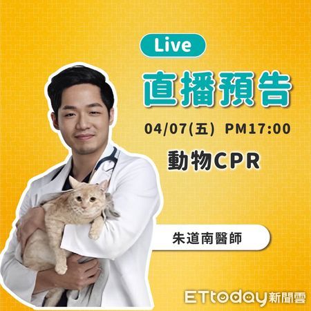 ▲▼寵物在家失去意識！獸醫教毛孩CPR「3重點」　依體型改變按壓位置。（圖／慈愛動物醫院提供）