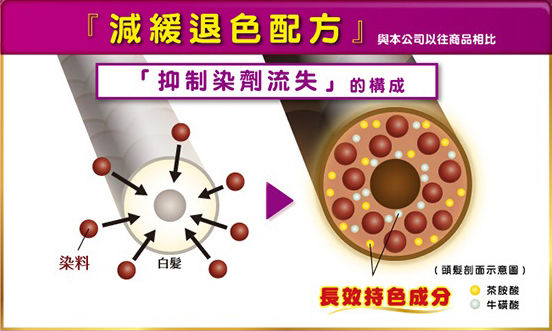 ▲▼染髮,染髮掉色,髮色,美源花果香。（圖／美源花果香提供）