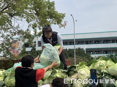 國民天菜一顆10元　民進黨雲林縣黨部行銷助菜農