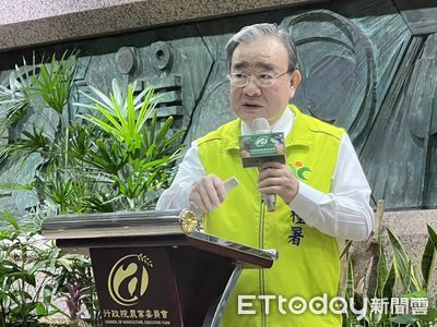 鳳梨採收撞期憂「價格崩盤」　農糧署祭3大措施提高產銷調節