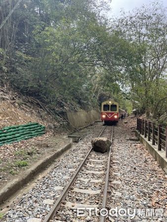 ▲▼ 阿里山林鐵落時。（圖／林鐵及文資處提供）