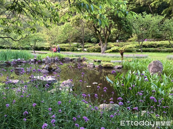 ▲陽明山湖山綠地4月初景致。（圖／記者彭懷玉攝）