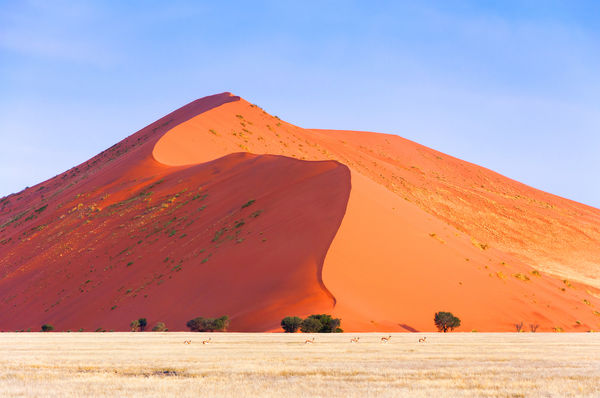 ▲▼納米比亞紅沙漠是全球最古老沙漠。（圖／佳繽旅遊提供）