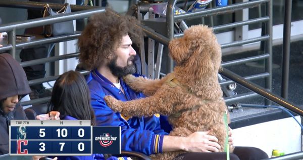 ▲▼ 小羅培茲（Robin Lopez）和他的愛犬。（圖／翻攝自推特／@baseballcontext）
