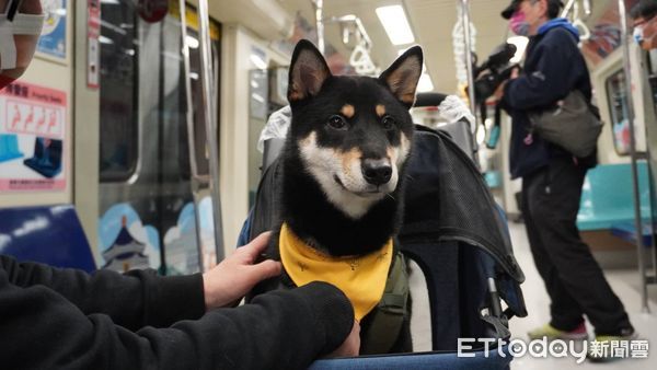 ▲▼蔣萬安出席國際寵物日「寵物專車」活動。（圖／記者呂佳賢攝）