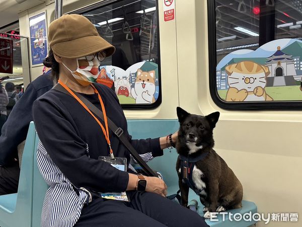 ▲▼台北捷運試辦國際寵物日「寵物專車」。（圖／記者袁茵攝）